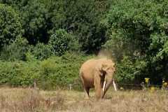 IMG-20230706-WA0026