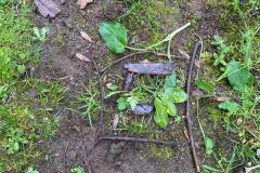 IMG-20230313-WA0075