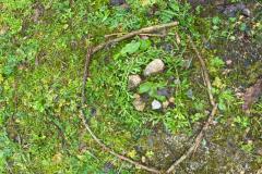 IMG-20230313-WA0076