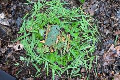 IMG-20230313-WA0077