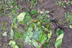 IMG-20230313-WA0091