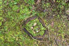IMG-20230313-WA0092
