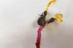 2_colorant
