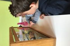 2_observation_censored
