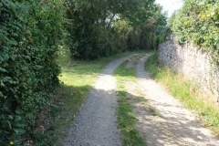 IMG_20210917_140833