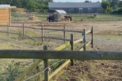 IMG-20230630-WA0000