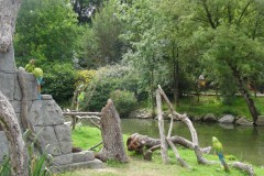 DSC00750