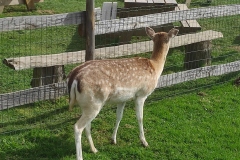 IMG_20220318_142406